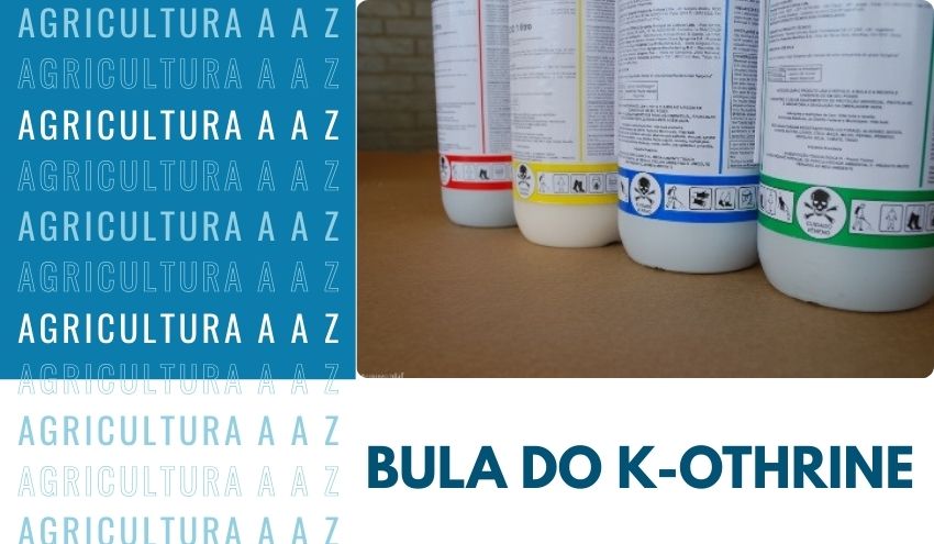 Leia mais sobre o artigo Bula do K-Othrine 2P CI: informações completas