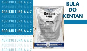 Leia mais sobre o artigo Bula do Kentan 40 WG CI: informações completas