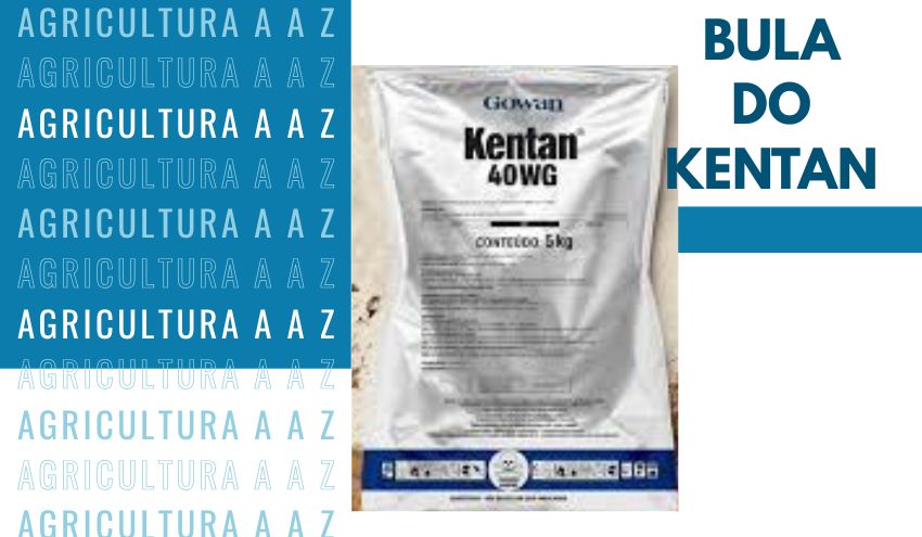 Leia mais sobre o artigo Bula do Kentan 40 WG CI: informações completas