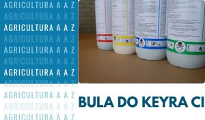 Leia mais sobre o artigo Bula do Keyra CI: informações completas