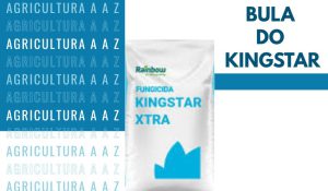 Leia mais sobre o artigo Bula do Kingstar XTRA CI: informações completas