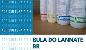 Leia mais sobre o artigo Bula do Lannate BR CI: Informações completas