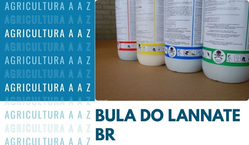 Leia mais sobre o artigo Bula do Lannate BR CI: Informações completas