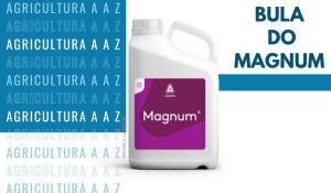 Leia mais sobre o artigo Bula do Magnum CI: informações completas