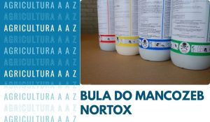 Leia mais sobre o artigo Bula do Mancozeb Nortox CI: informações completas
