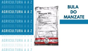 Leia mais sobre o artigo Bula do Manzate 800 CI: informações completas