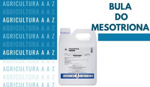 Leia mais sobre o artigo Bula do Mesotriona Nortox CI: informações completas