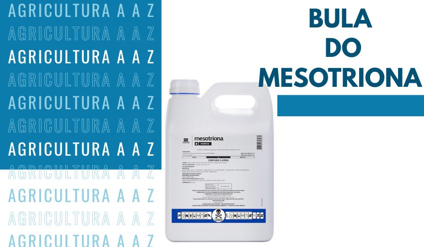 Leia mais sobre o artigo Bula do Mesotriona Nortox CI: informações completas