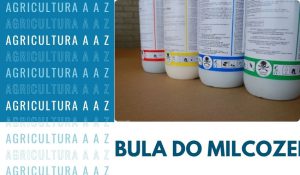 Leia mais sobre o artigo Bula do Milcozeb 800 WP CI: informações completas sobre Mancozebe