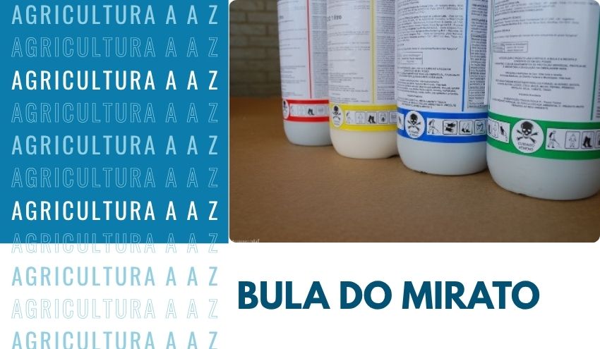 Leia mais sobre o artigo Bula do Mirato CI: informações completas