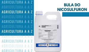 Leia mais sobre o artigo Bula do Nicosulfuron Nortox 40 SC CI: informações completas sobre Nicossulfurom