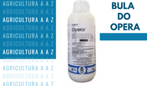 Leia mais sobre o artigo Bula do Opera CI: informações completas