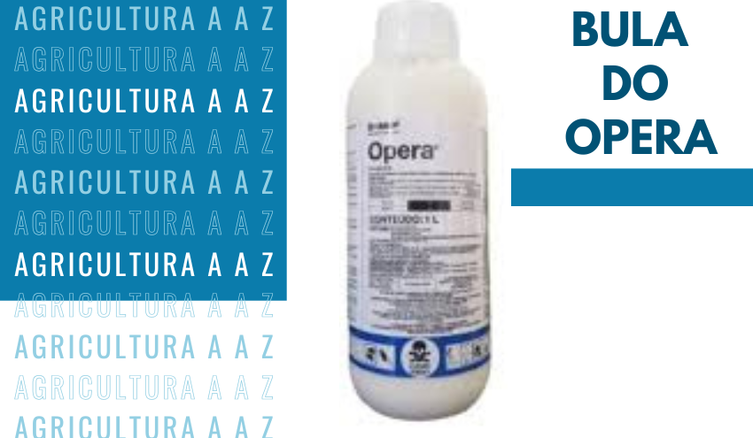 Leia mais sobre o artigo Bula do Opera CI: informações completas