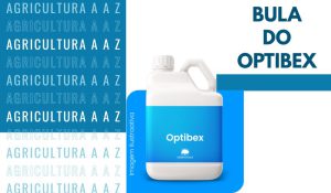 Leia mais sobre o artigo Bula do Optibex CI: informações completas