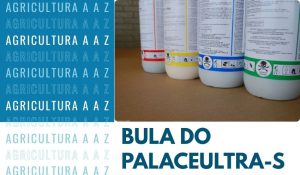 Leia mais sobre o artigo Bula do PalaceUltra-S CI: informações completas
