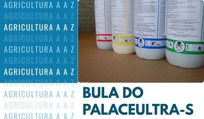 Leia mais sobre o artigo Bula do PalaceUltra-S CI: informações completas