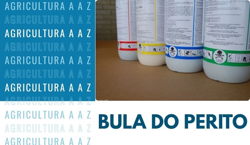 Leia mais sobre o artigo Bula do Perito: informações completas