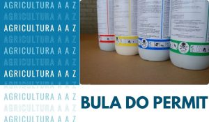 Leia mais sobre o artigo Bula do Permit Star CI: informações completas