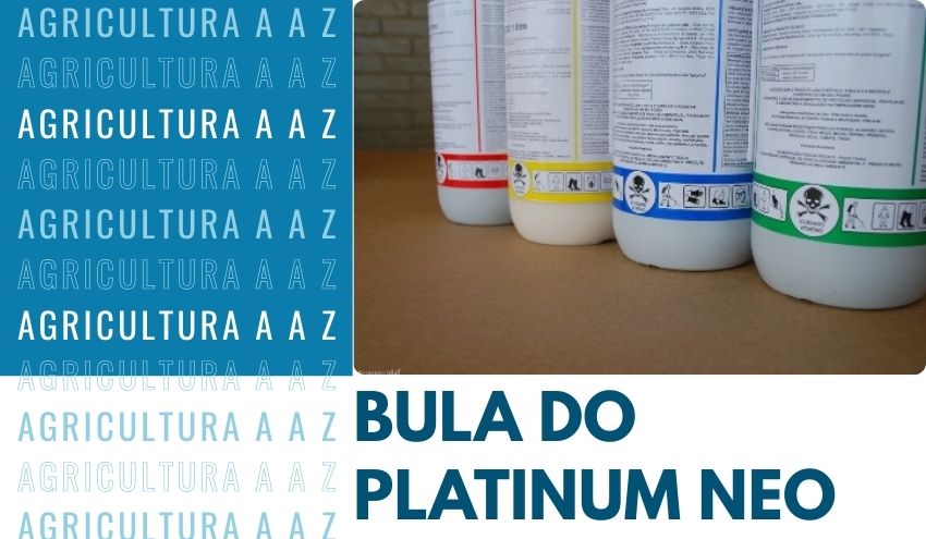 Leia mais sobre o artigo Bula do Platinum Neo: informações completas
