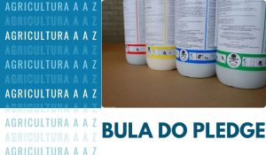 Leia mais sobre o artigo Bula do Pledge SC CI: informações completas