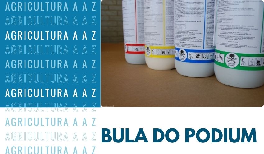 Leia mais sobre o artigo Bula do Podium EW CI: informações completas