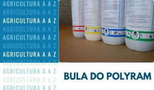 Leia mais sobre o artigo Bula do Polyram DF CI: informações completas sobre Metiram