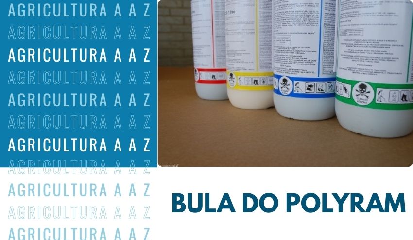 Leia mais sobre o artigo Bula do Polyram DF CI: informações completas sobre Metiram