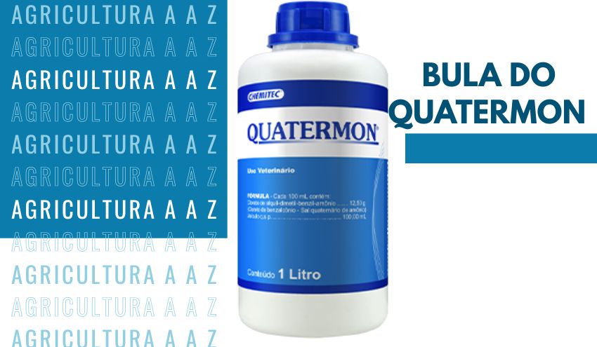 Leia mais sobre o artigo Bula do Quatermon CI: informações completas