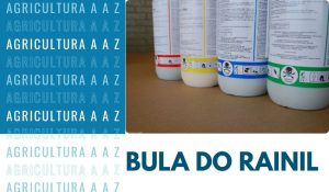 Leia mais sobre o artigo Bula do Rainil: informações completas