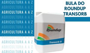 Leia mais sobre o artigo Bula do Roundup Transorb R CI: informações completas