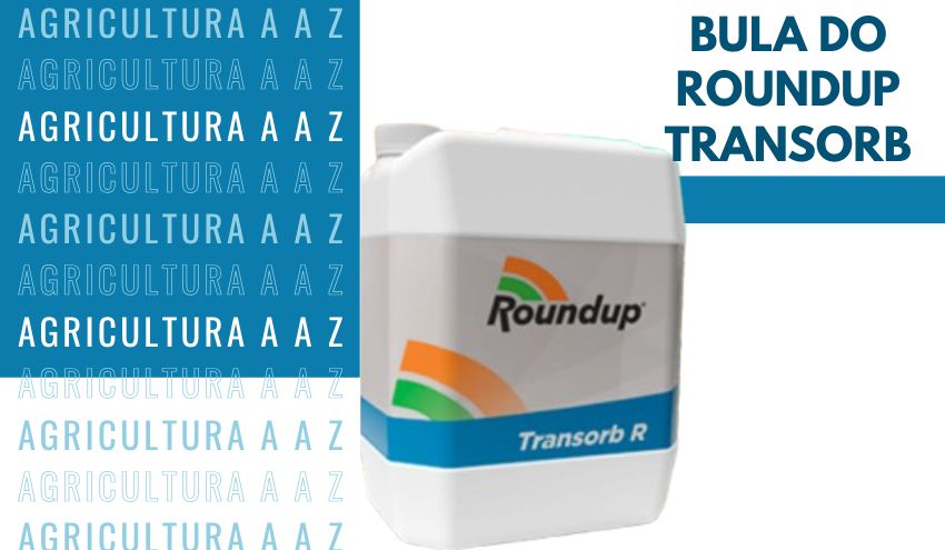 Leia mais sobre o artigo Bula do Roundup Transorb R CI: informações completas