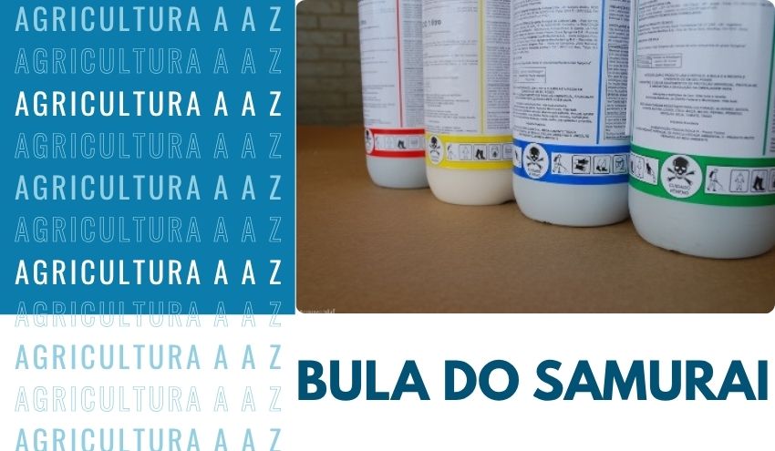 Leia mais sobre o artigo Bula do Samurai / Bushi / Waza-Ari CI: informações completas