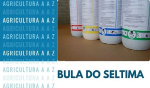 Leia mais sobre o artigo Bula do Seltima CI: informações completas