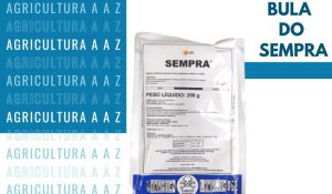 Leia mais sobre o artigo Bula do Sempra CI: informações completas
