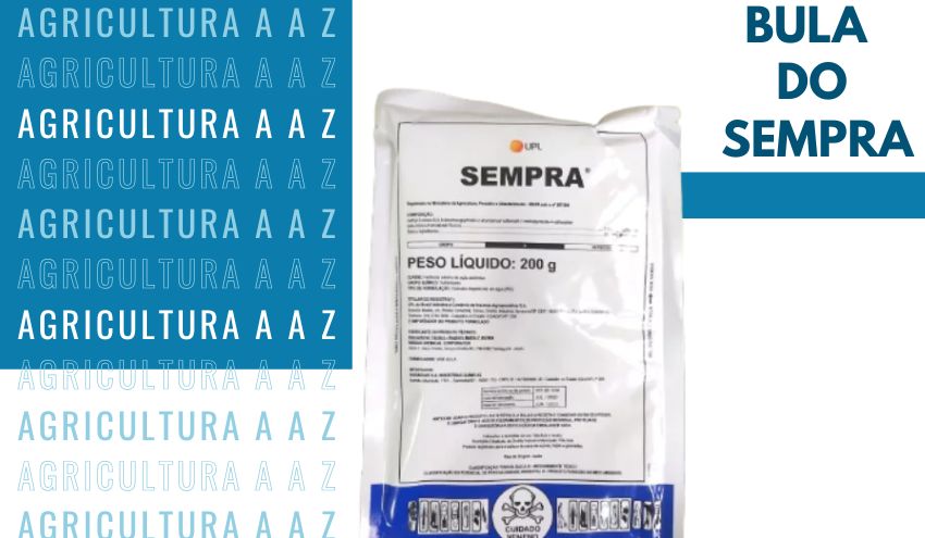Leia mais sobre o artigo Bula do Sempra CI: informações completas