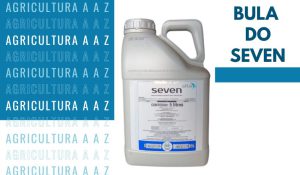 Leia mais sobre o artigo Bula do Seven CI: informações completas