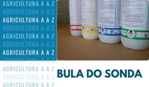 Leia mais sobre o artigo Bula do Sonda CI: informações completas