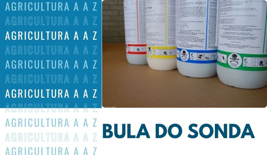Leia mais sobre o artigo Bula do Sonda CI: informações completas