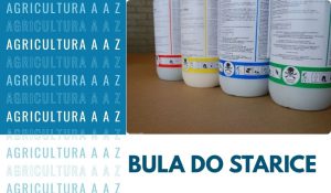 Leia mais sobre o artigo Bula do Starice CI: informações completas
