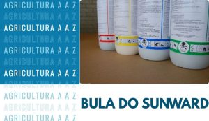 Leia mais sobre o artigo Bula do Sunward CI: informações completas