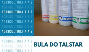 Leia mais sobre o artigo Bula do Talstar 100 EC CI: informações completas