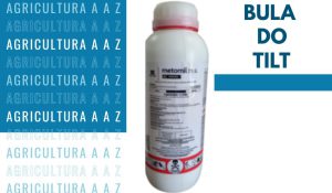 Leia mais sobre o artigo Bula do Tilt CI: informações completas