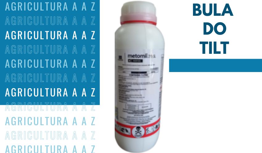Leia mais sobre o artigo Bula do Tilt CI: informações completas