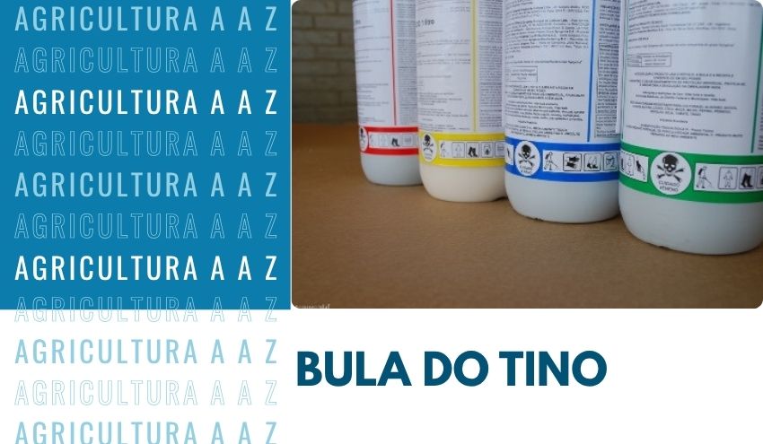 Leia mais sobre o artigo Bula do Tino CI: informações completas