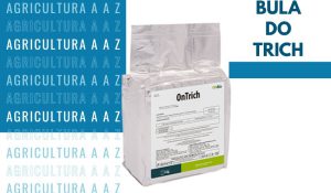 Leia mais sobre o artigo Bula do Trich Protection CI: informações completas