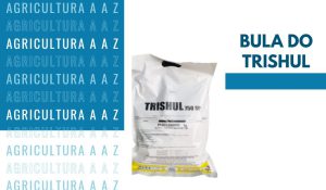 Leia mais sobre o artigo Bula do Trishul 750 SP CI: informações completas sobre Acefato