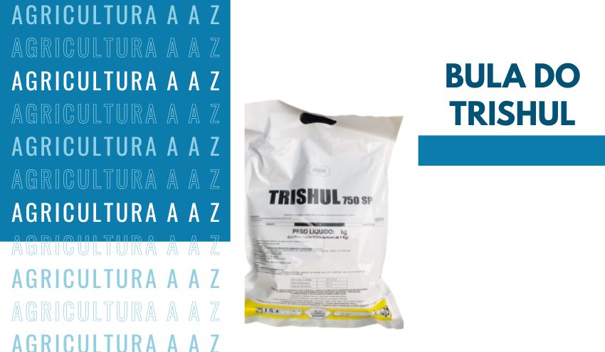 Leia mais sobre o artigo Bula do Trishul 750 SP CI: informações completas sobre Acefato