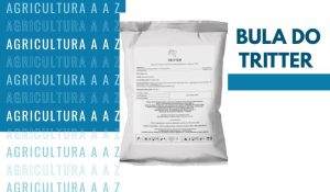 Leia mais sobre o artigo Bula do Tritter CI: informações completas