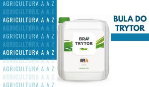 Leia mais sobre o artigo Bula do Trytor (Triclopir BR / Triclomais) CI: informações completas sobre Triclopir Butotílico
