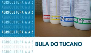Leia mais sobre o artigo Bula do Tucano (Flumioxazin) CI: informações completas